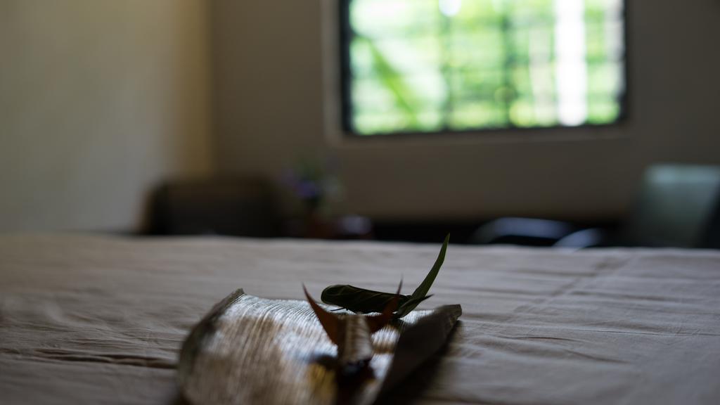 Thuy Bieu Homestay Hue Exterior foto